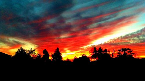 Low angle view of silhouette trees against orange sky