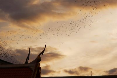 Low angle view of birds flying in sky