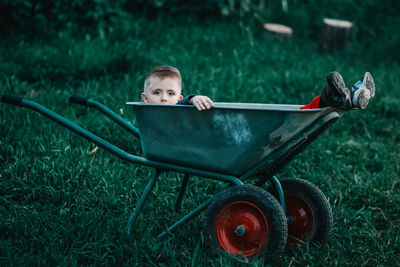 Portrait of boy sitting in wheelbarrow on field