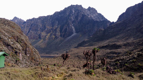 Scenic mountain against sky, mount baker in the rwenzori mountain range, uganda 