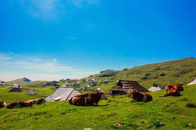 Scenic view of grassy field against cloudy sky