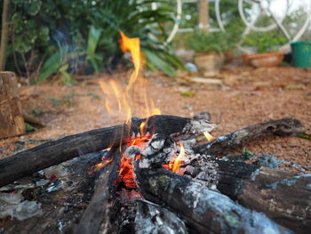 Close-up of bonfire on log