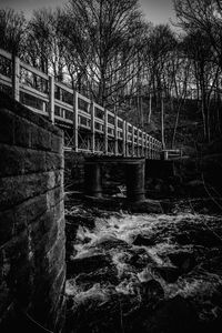 Bridge over river against trees in forest