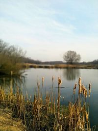 Scenic view of lake against sky