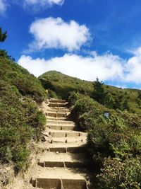 Staircase amidst plants against sky