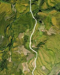 Winding road in green vietnam