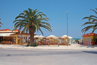 Road by date palm tree against clear blue sky