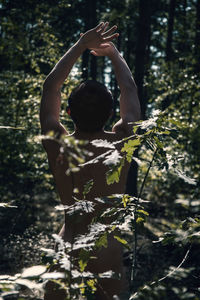 Close-up of tree in forest