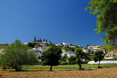 Trees and buildings against clear blue sky