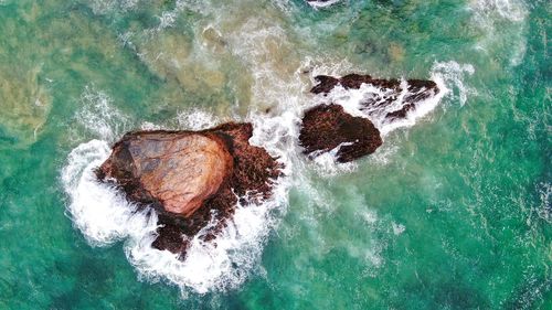 High angle view of waves splashing on rock