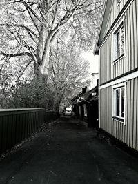 Trees against sky