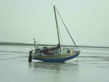 Sailboat sailing in sea