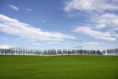 Amazing landscape of bright green meadow with row of trees at horizon in fair weather