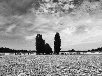 Scenic view of field against cloudy sky
