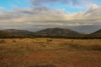 Scenic view of landscape against cloudy sky