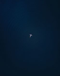 Aerial view of person swimming in water