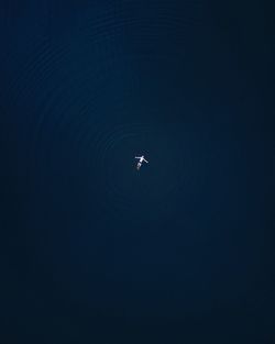 Bird flying over lake against sky