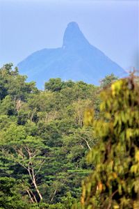 Scenic view of trees and mountains against sky