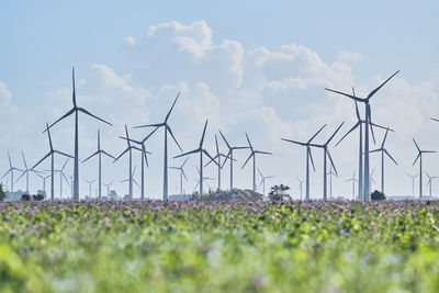 Plants growing on field against sky