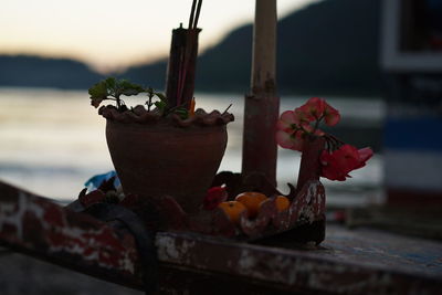 Close-up of fruits on water against sky