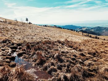 Scenic view of landscape against sky