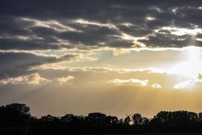 Low angle view of silhouette trees against sky during sunset