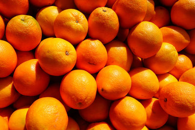 Full frame shot of oranges at sunlight 