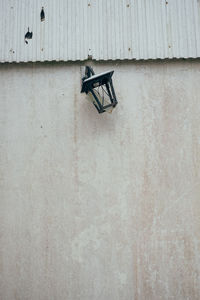 Close-up of wood against wall