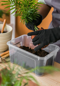 Midsection of person planting potted plant