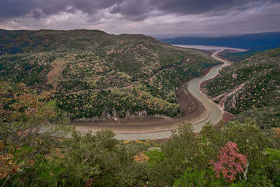 High angle view of road amidst trees against sky