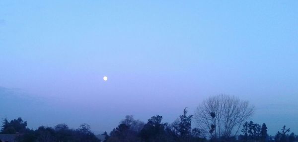 Scenic view of moon against clear sky at night