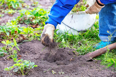 soil