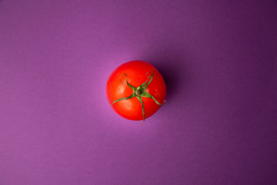 Directly above shot of strawberry against red background