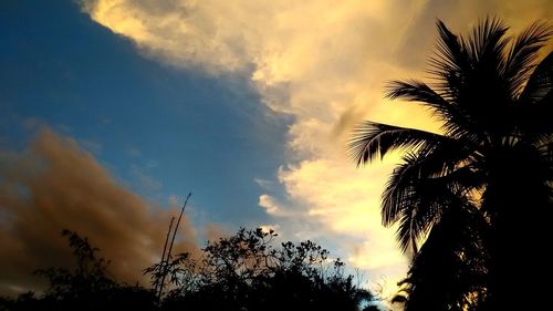 Low angle view of silhouette palm trees against sky during sunset