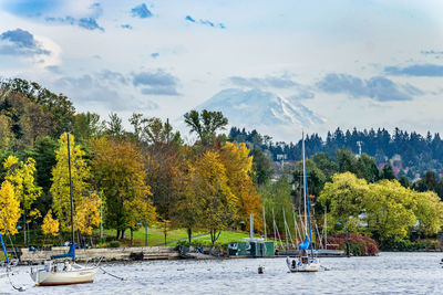 Trees display rich autumn colors along the shore at gene coulon park in renton, washington.