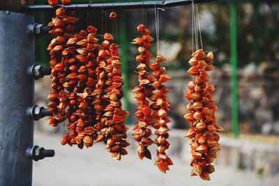 Dried fruits hanging outdoors