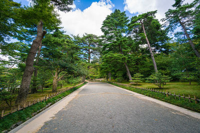 Road amidst trees against sky