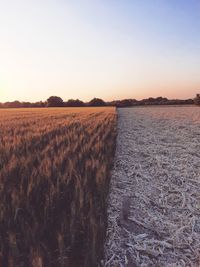 Scenic view of field against clear sky during sunset