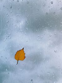 Full frame shot of wet glass window during rainy season