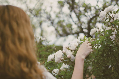 Rear view of woman picking flowers at park