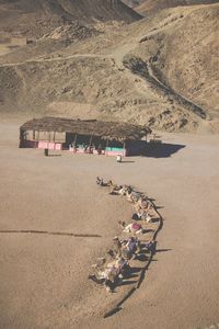 High angle view of people on beach