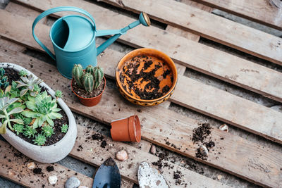 Gardening tools for repotting succulents and cactuses in the home garden