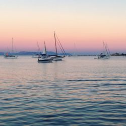 Boats sailing in sea