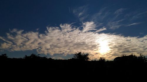 Silhouette trees against sky during sunset