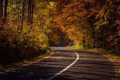 Road passing through forest during autumn