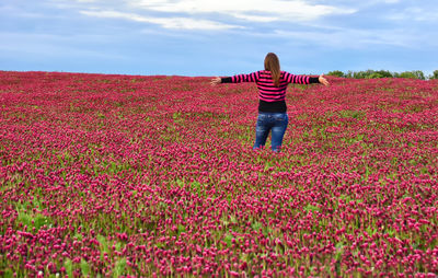 Rear view of woman with arms outstretched standing amidst pink flowers on field