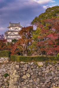 Trees growing by building against sky during autumn