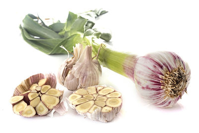 Close-up of food against white background