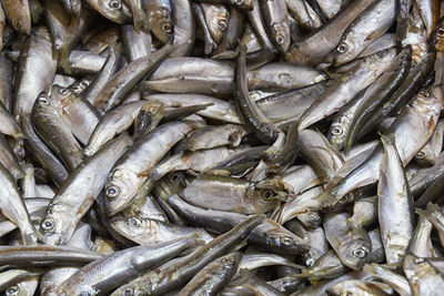 Full frame shot of fish for sale in market