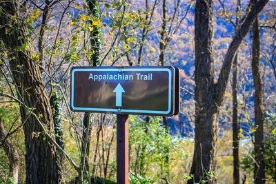 Information sign on tree trunk in forest